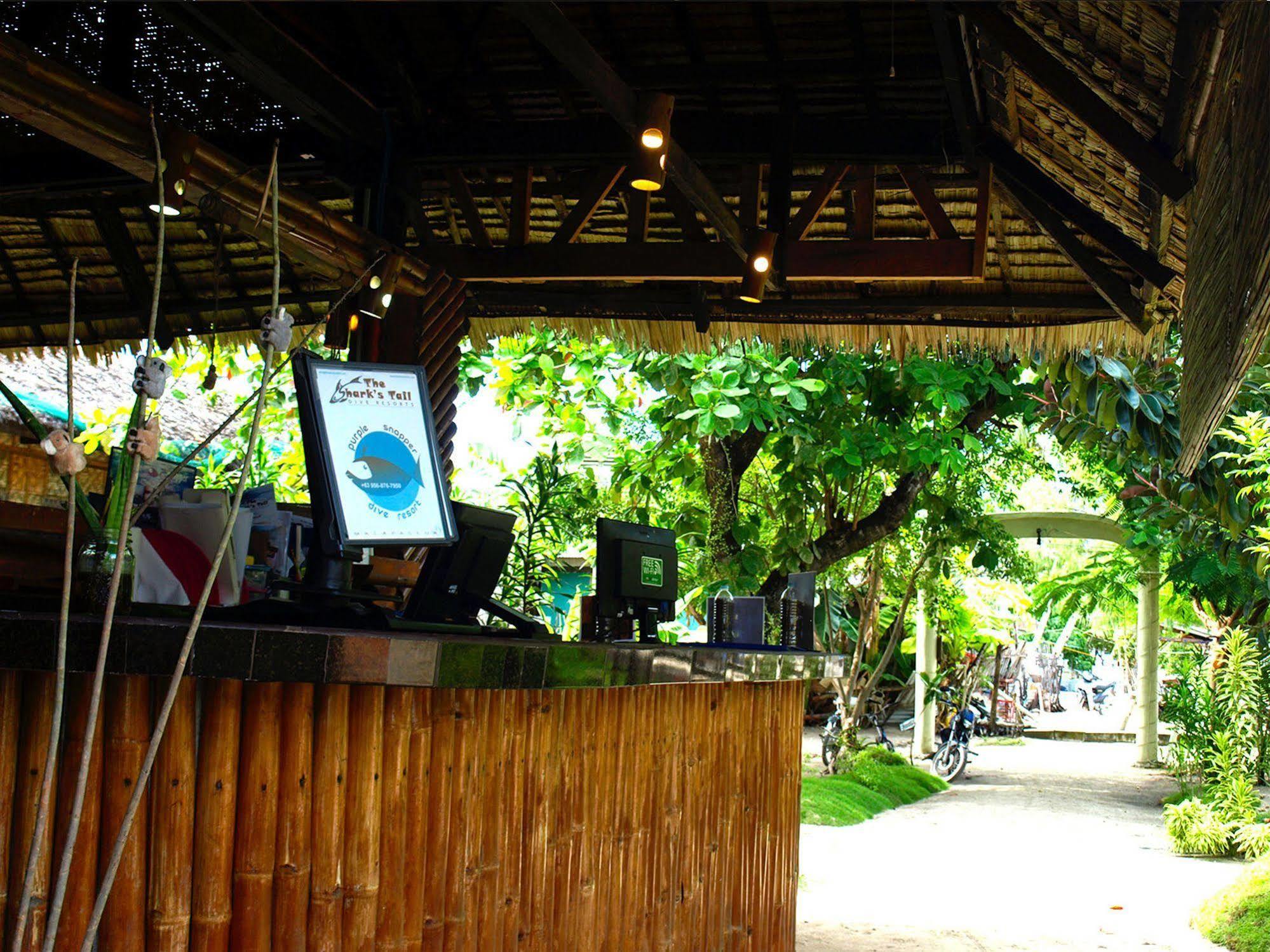 Purple Snapper Dive Resort - Hostel/Backpacker Accommodation Logon Exterior photo